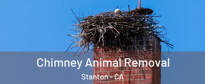 Chimney Animal Removal Stanton - CA