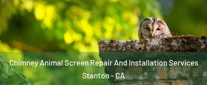  Chimney Animal Screen Repair And Installation Services Stanton - CA