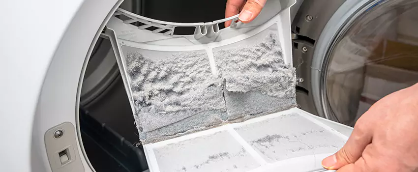 Best Dryer Lint Removal Company in Stanton, California