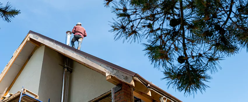 Birds Removal Contractors from Chimney in Stanton, CA