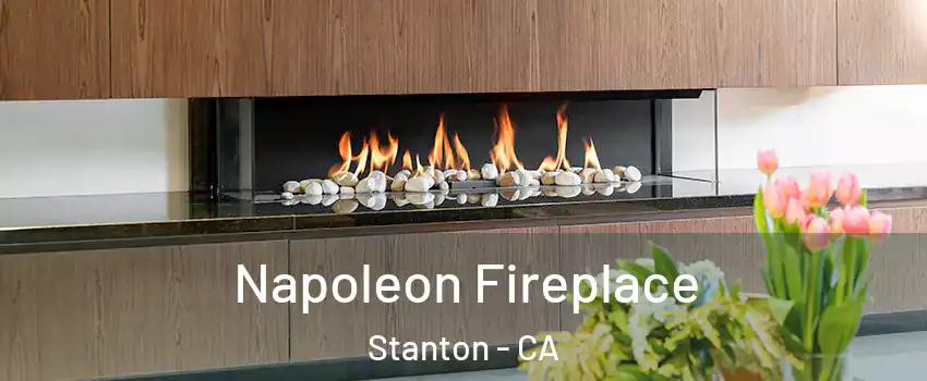  Napoleon Fireplace Stanton - CA